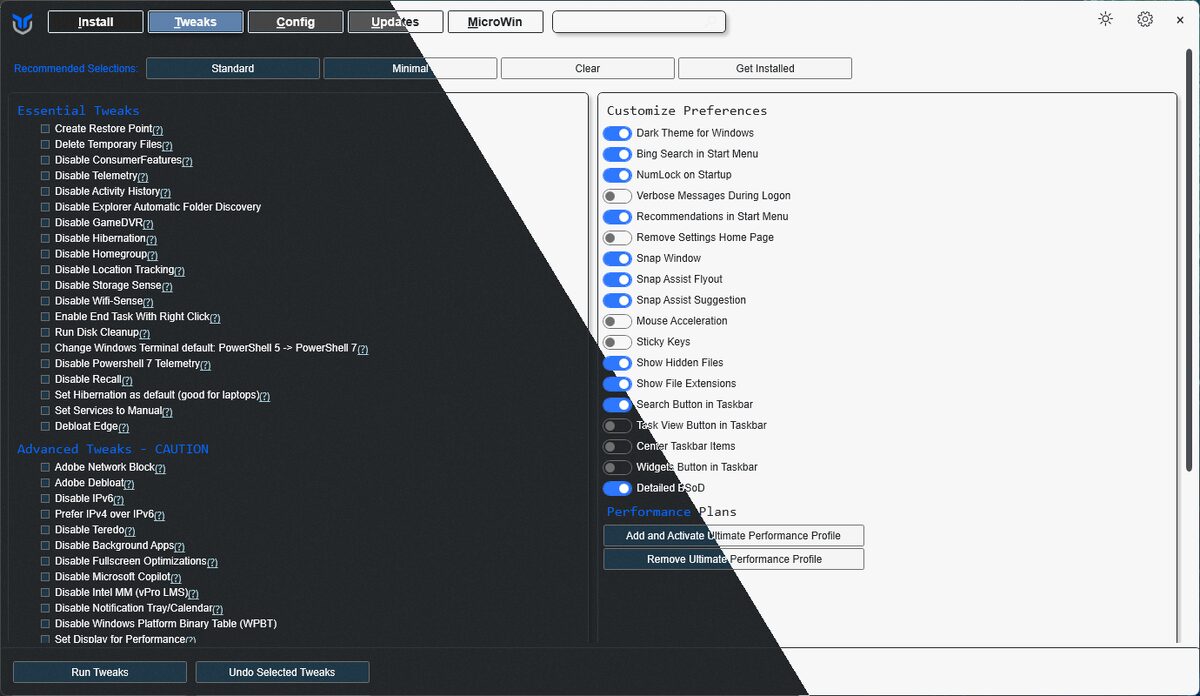 Winutil 主界面截图